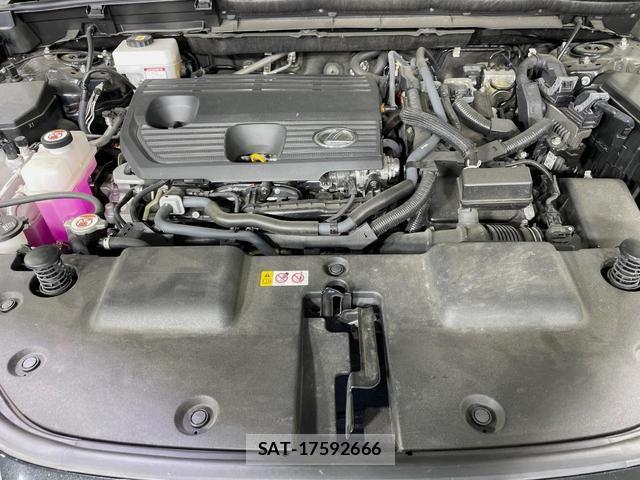 Lexus NX 2023-08 8342301-17