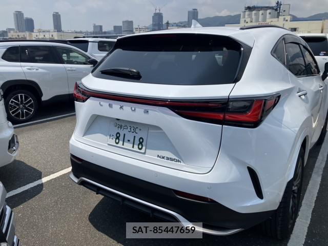 Lexus NX 2024-12 8342428-4