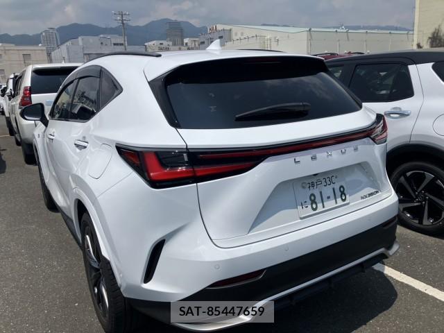 Lexus NX 2024-12 8342428-5
