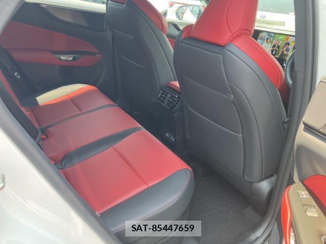 Lexus NX 2024-12 8342428-7