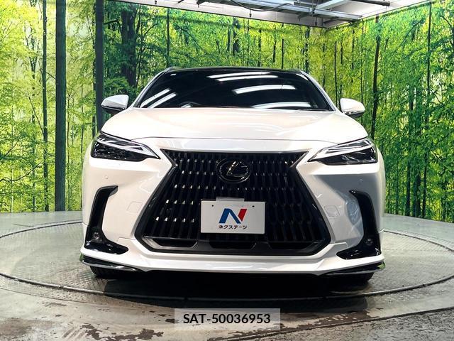 Lexus NX 2023-07 8342870-13