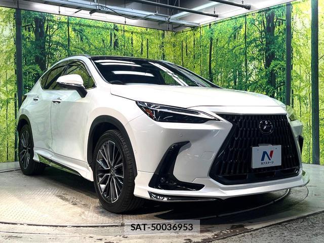 Lexus NX 2023-07 8342870-15