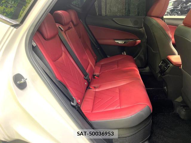 Lexus NX 2023-07 8342870-8