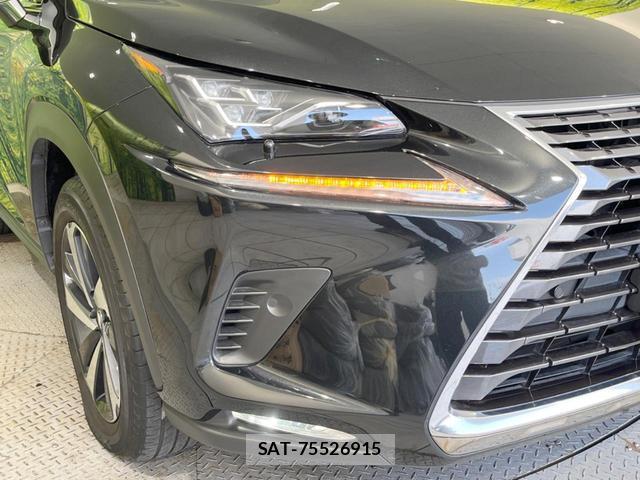 Lexus NX 2019-09 8343167-11