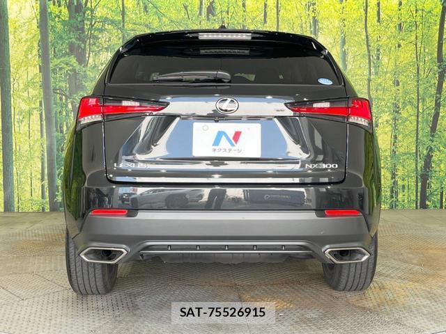 Lexus NX 2019-09 8343167-14