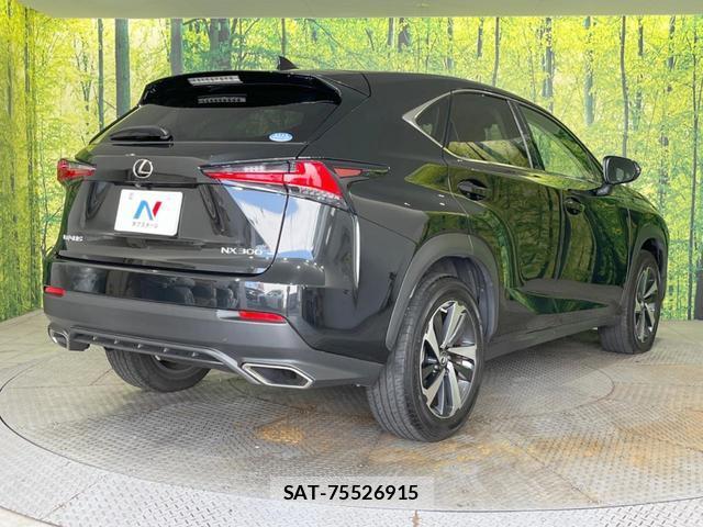 Lexus NX 2019-09 8343167-16