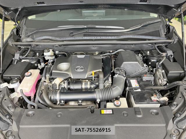 Lexus NX 2019-09 8343167-17