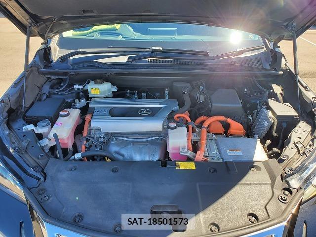 Lexus NX 2014-10 8343422-10
