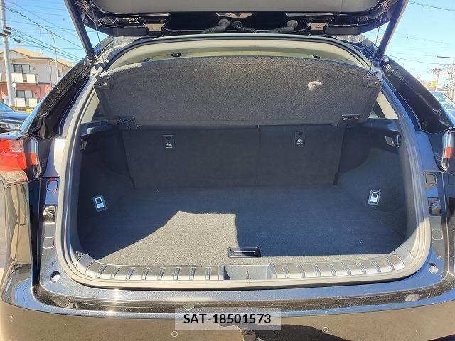 Lexus NX 2014-10 8343422-7
