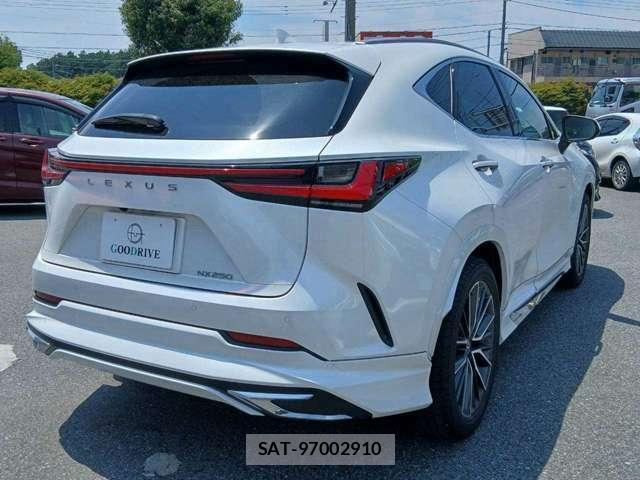 Lexus NX 2024-11 8343712-1