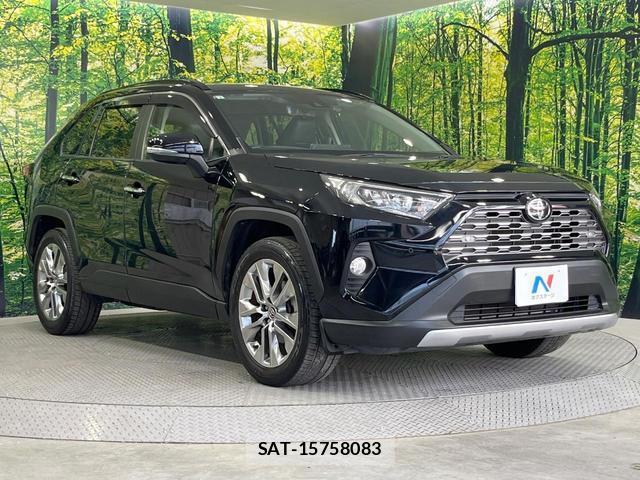 Toyota RAV4 2019-07 8343255-15