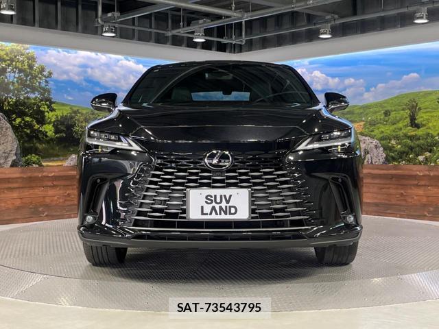 Lexus RX 2023-09 8342497-14