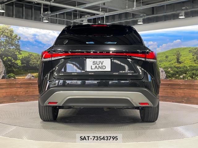 Lexus RX 2023-09 8342497-15