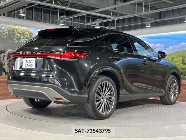 Lexus RX 2023-09 8342497-17