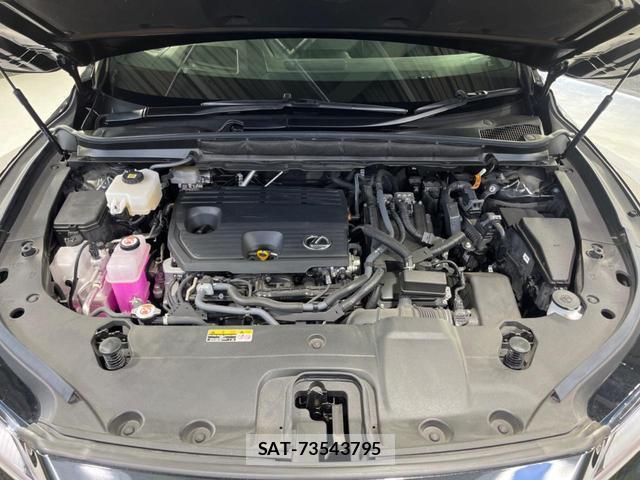 Lexus RX 2023-09 8342497-18