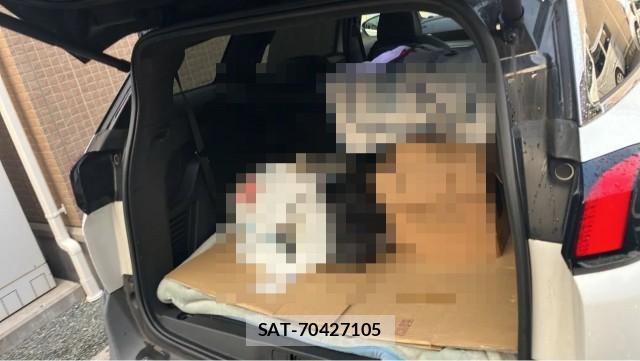 Peugeot 5008 2018-03 8362280-17