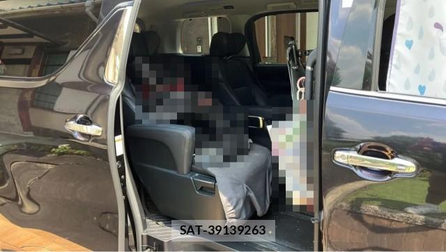 Toyota ALPHARD 2021-06 8362196-6