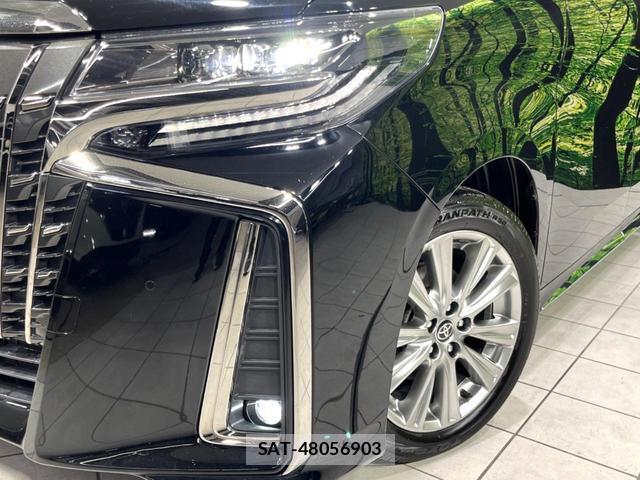 Toyota ALPHARD 2021-06 8363191-14