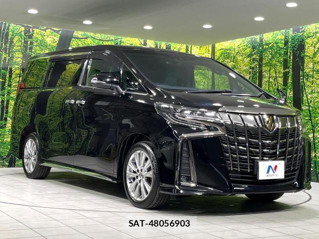 Toyota ALPHARD 2021-06 8363191-17