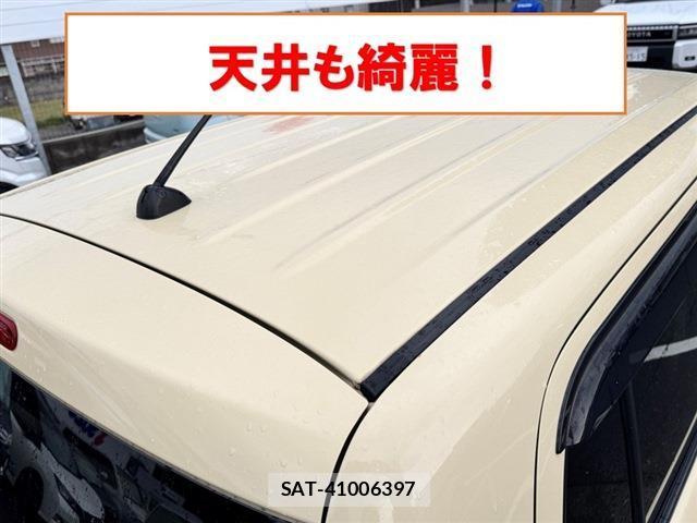Suzuki LAPIN 2017-10 8360835-11