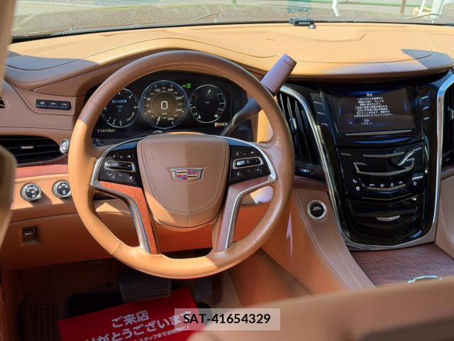 Cadillac ESCALADE 2015-06 8363667-8