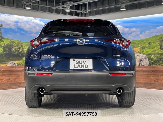 Mazda CX-30 2021-01 8361031-15