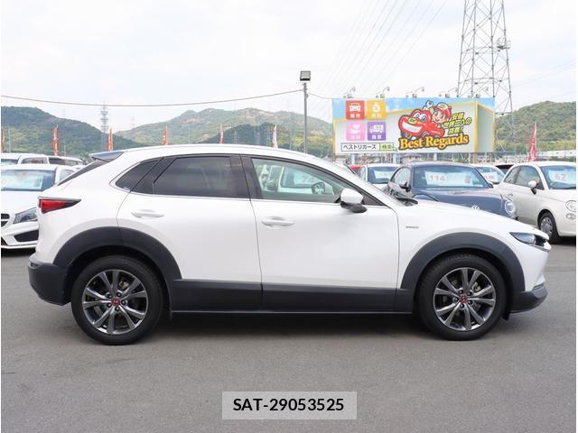 Mazda CX-30 2021-04 8362887-10
