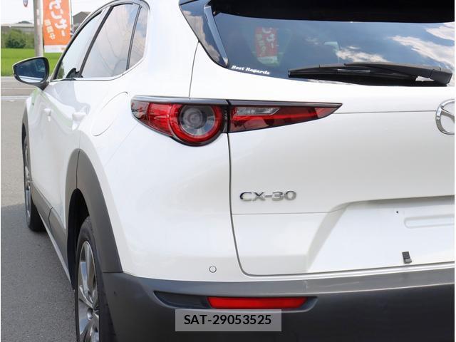 Mazda CX-30 2021-04 8362887-17