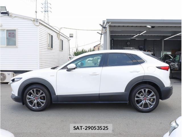Mazda CX-30 2021-04 8362887-6