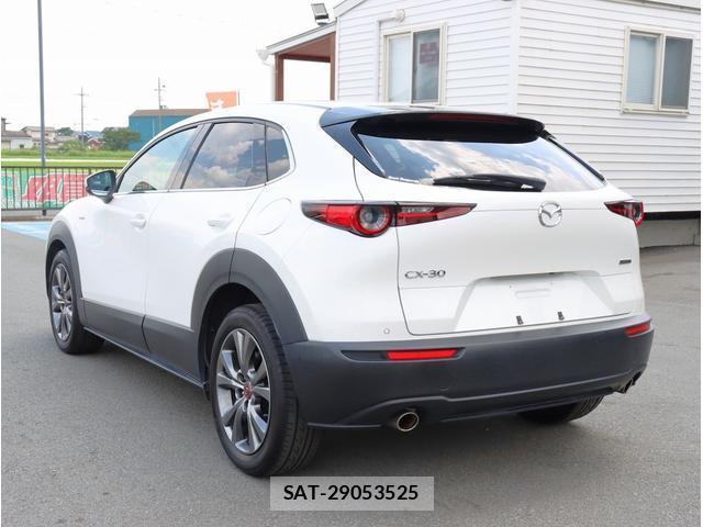 Mazda CX-30 2021-04 8362887-7