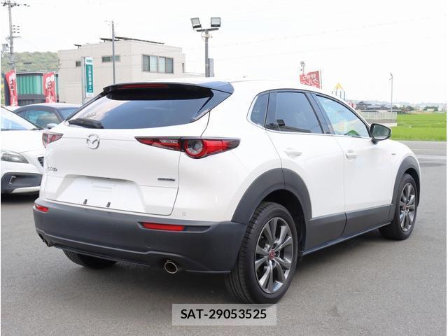 Mazda CX-30 2021-04 8362887-9