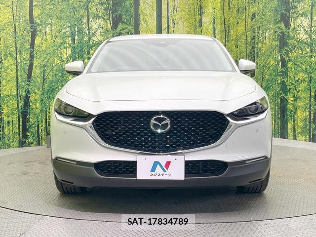 Mazda CX-30 2021-03 8363302-13