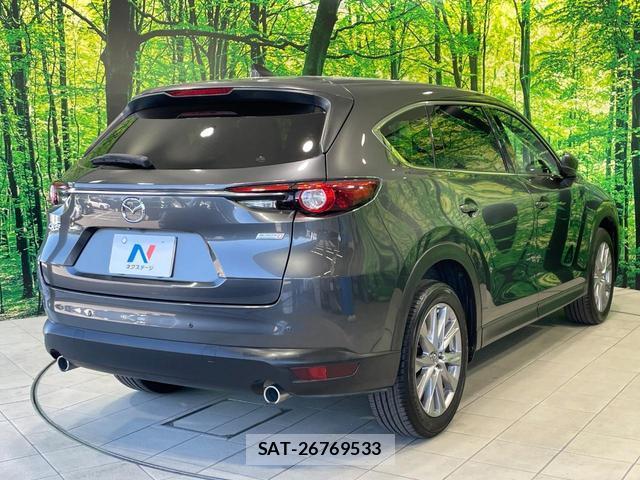 Mazda CX-8 2018-12 8362647-18
