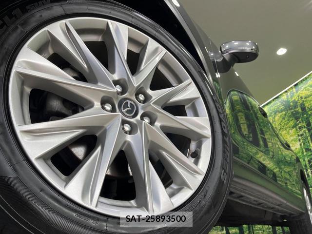 Mazda CX-8 2018-01 8362762-13