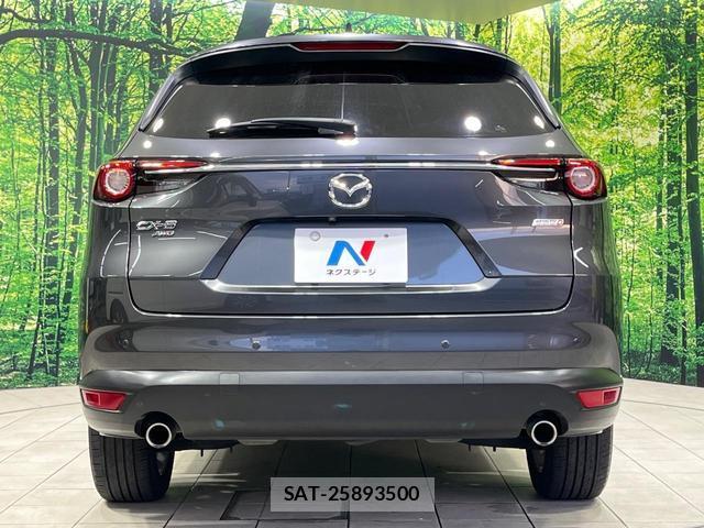 Mazda CX-8 2018-01 8362762-15