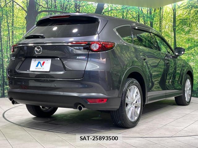 Mazda CX-8 2018-01 8362762-16