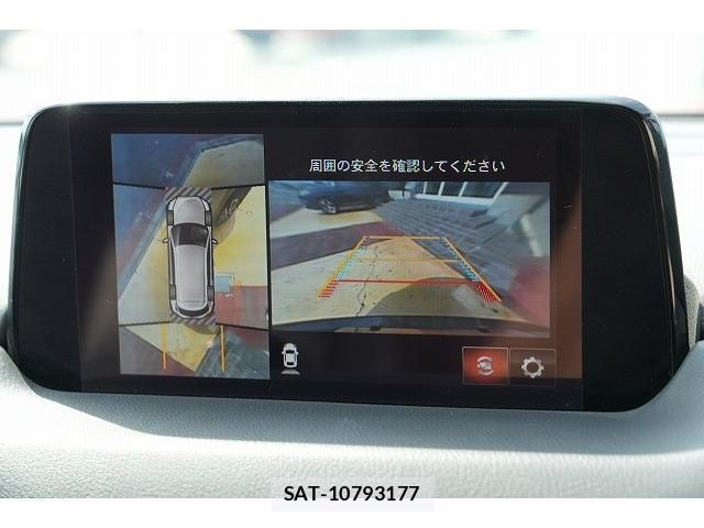 Mazda CX-8 2018-05 8363376-6