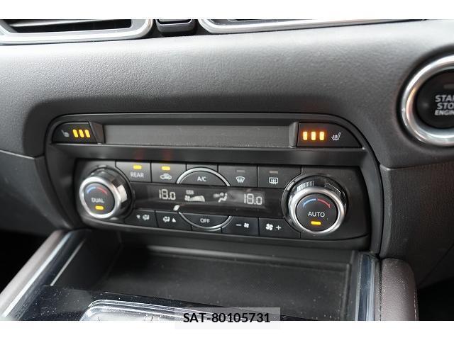 Mazda CX-8 2018-08 8363395-7