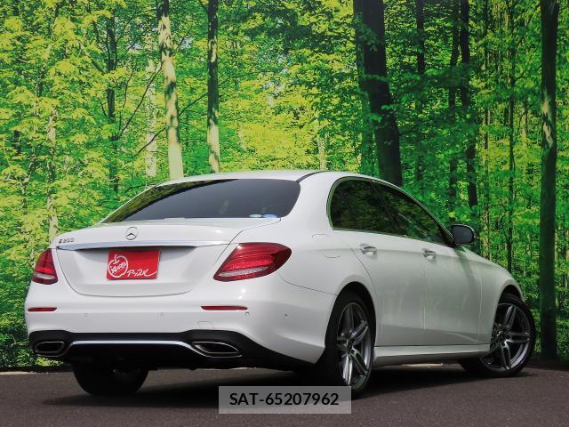 Mercedes Benz E-CLASS 2017-08 8363825-1