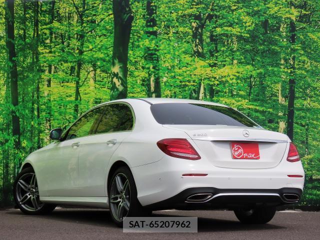 Mercedes Benz E-CLASS 2017-08 8363825-4