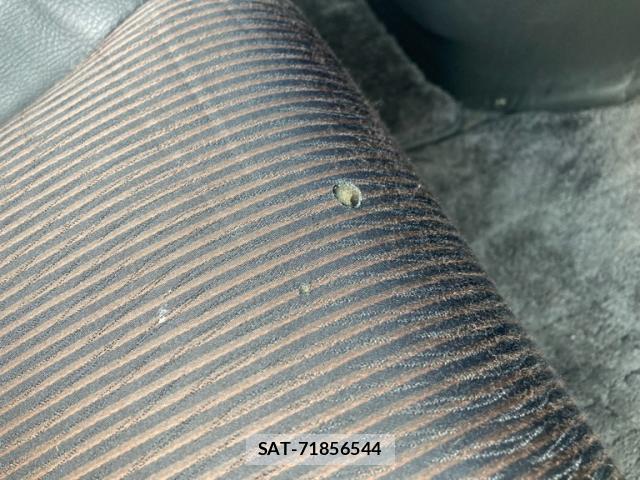 Nissan ELGRAND 2019-11 8362566-10