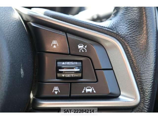 Subaru IMPREZA SPORTS 2017-05 8360514-7