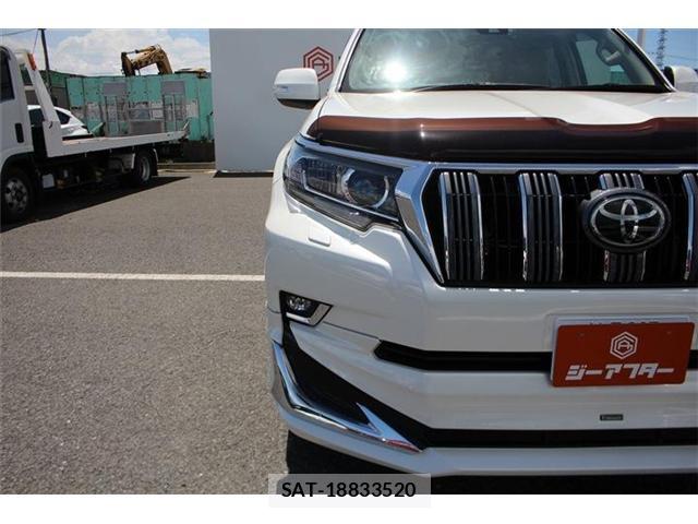 Toyota LAND CRUISER PRADO 2020-10 8362969-12