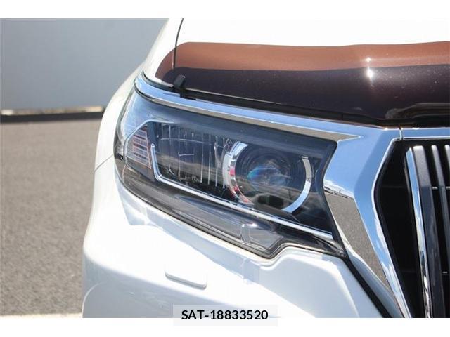 Toyota LAND CRUISER PRADO 2020-10 8362969-13