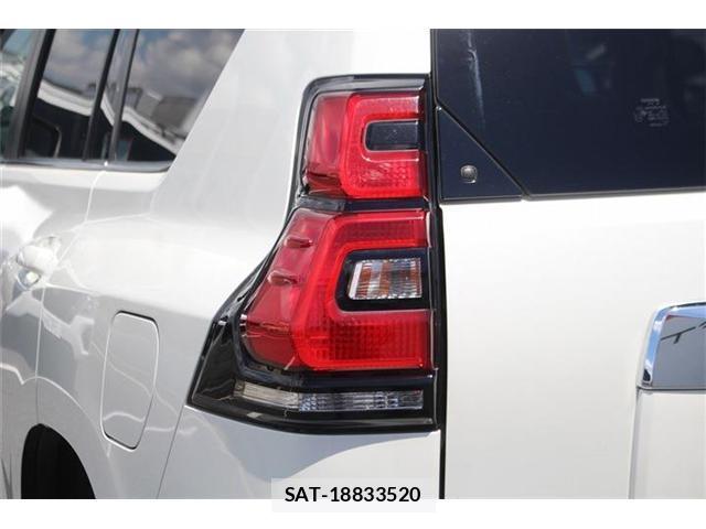 Toyota LAND CRUISER PRADO 2020-10 8362969-14