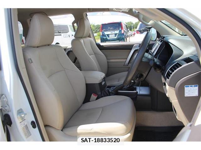Toyota LAND CRUISER PRADO 2020-10 8362969-19