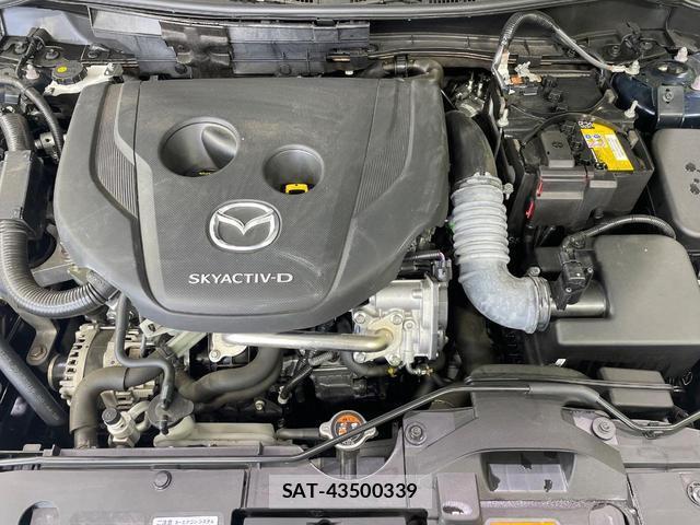 Mazda MAZDA2 2023-09 8362335-17