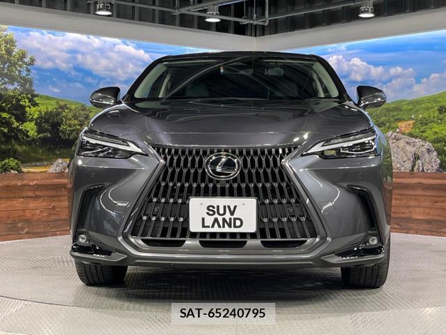 Lexus NX 2023-02 8361023-14