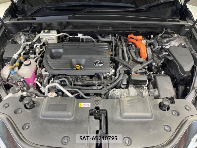 Lexus NX 2023-02 8361023-18