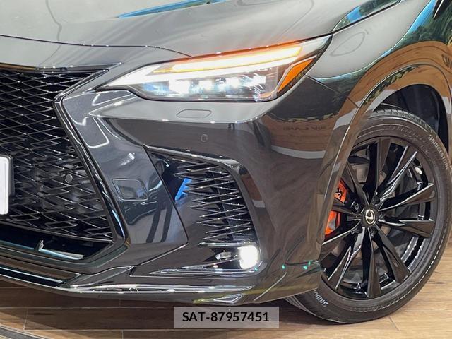 Lexus NX 2022-06 8361662-12